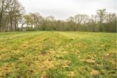 Bild... - Freistehendes Wohnhaus mit Charme und 1,4 ha Land – Handwerkerobjekt in Alleinlage!